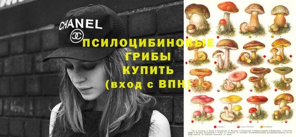 гашик Усмань
